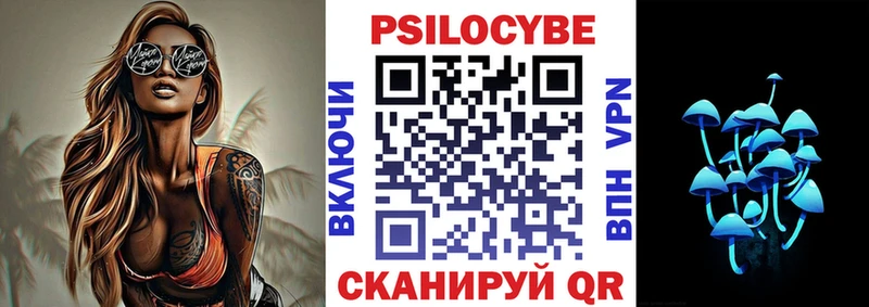 Псилоцибиновые грибы GOLDEN TEACHER  Купить  Находка 
